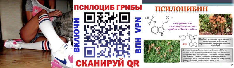 Галлюциногенные грибы прущие грибы  закладка  Добрянка 